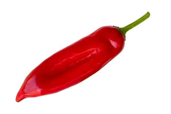 Red pepper Royalty Free Stock Photos