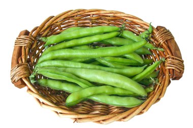 Broad beans, horse beans,fava beans clipart