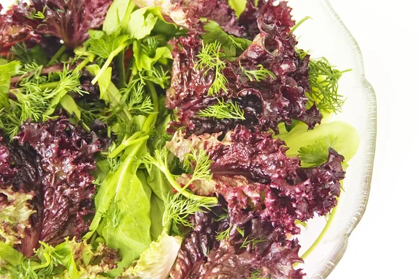 Фіолетовий салат — стокове фото
