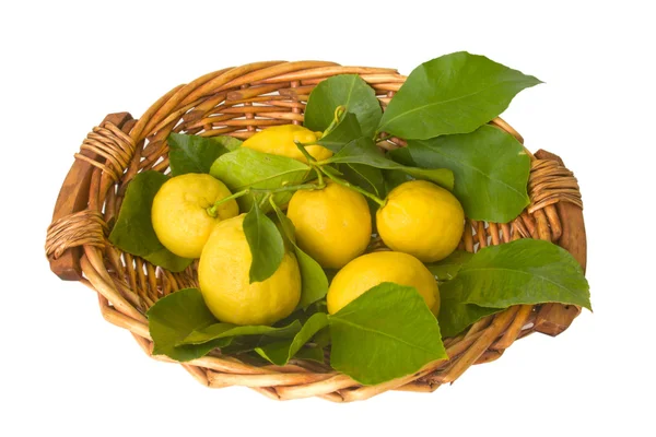 Citroner i korg — Stockfoto