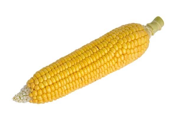 Zboża, kukurydzy — Zdjęcie stockowe