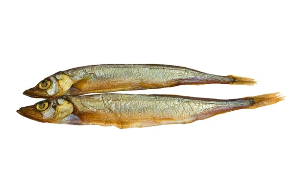 Pesce, gonfiore — Foto Stock