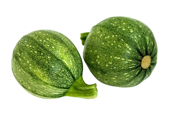 stock image Marrow