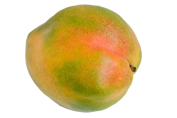 Frische Mango — Stockfoto