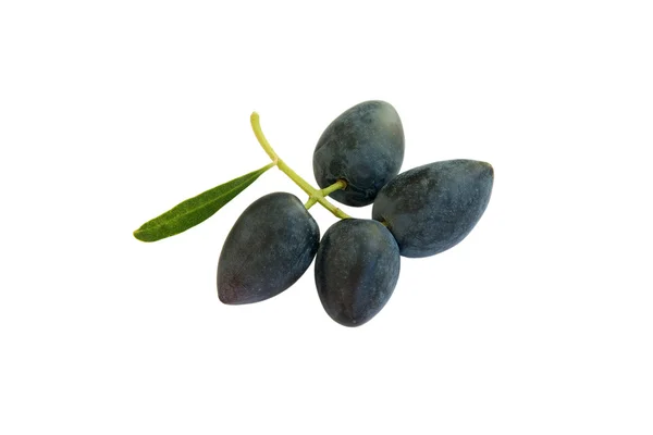 Olive nere — Foto Stock