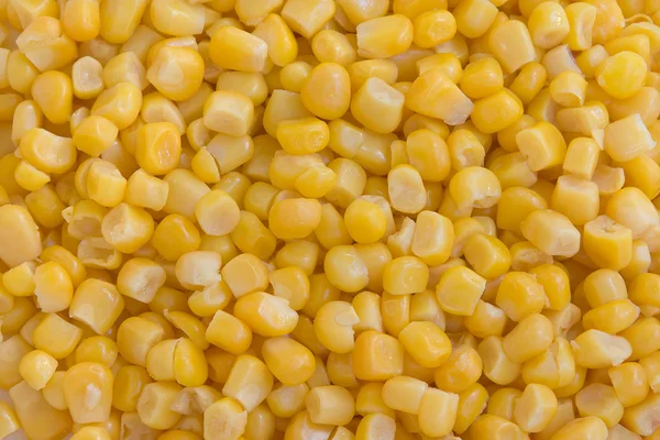 Maize,corn — Stock Photo, Image