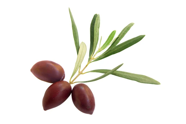 Svarta oliver — Stockfoto