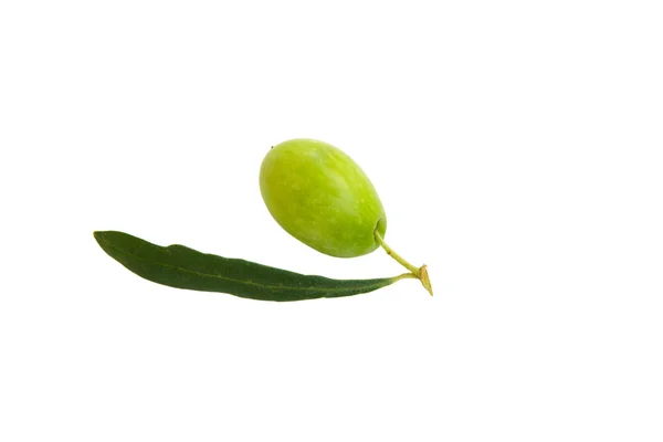 Гілка зелених оливок — стокове фото