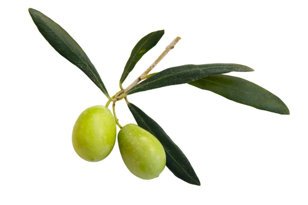 Greens olives — Stock Photo, Image