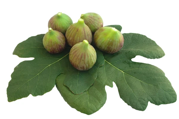 Figs and leaves — Stock Photo, Image