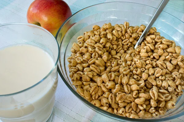 Toasted cereal and hot milk — Stock Photo, Image