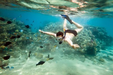 snorkeler. Kızıl Deniz