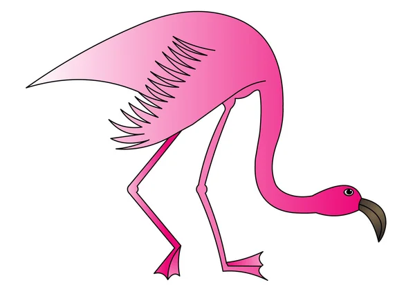 The Rose flamingo — Stock Vector