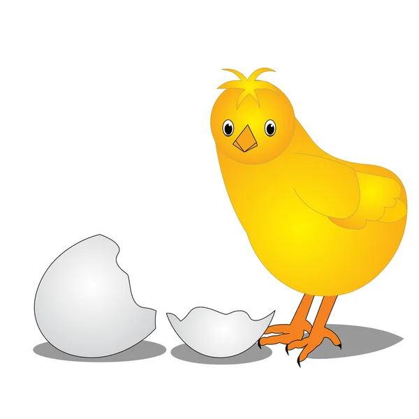 Kurczak w pobliżu przez jajka podzielone — Wektor stockowy