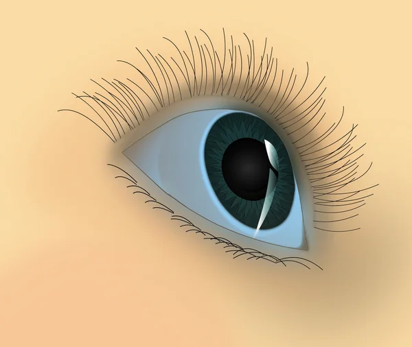 O olho do perso — Fotografia de Stock