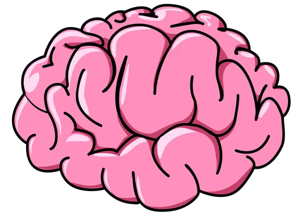 Ilustración cerebro humano en perfil — Vector de stock