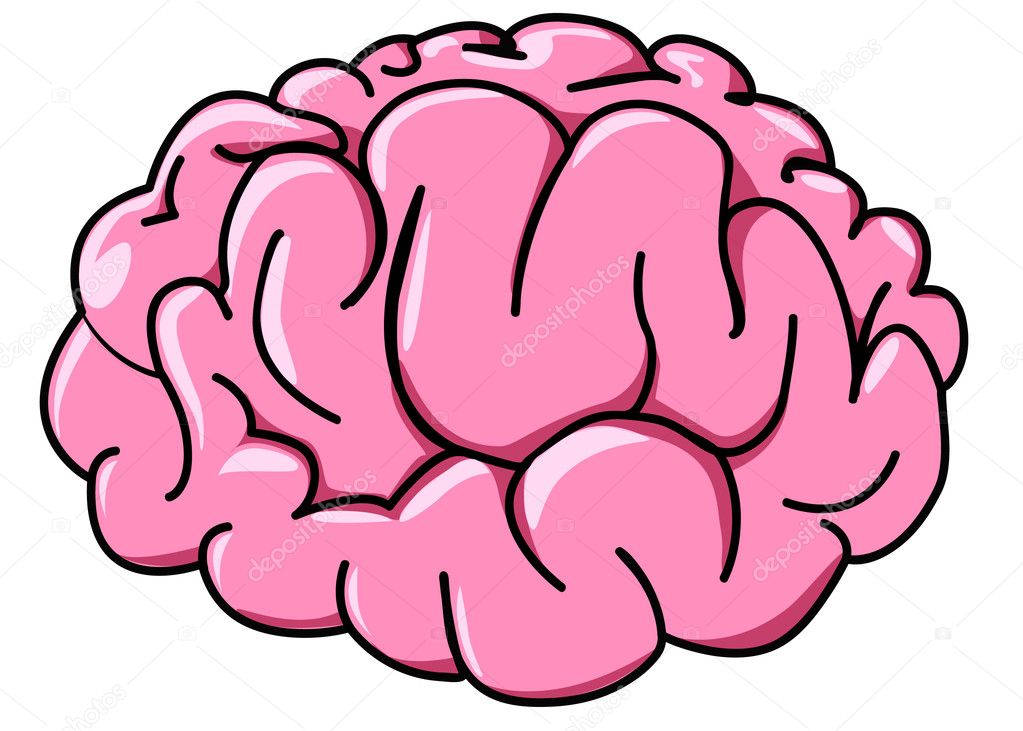brain pictures cartoon