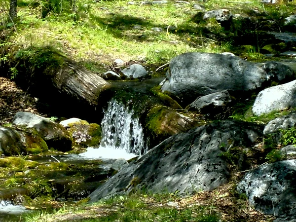 Wild creek amongst stone with moss — Stock Photo, Image