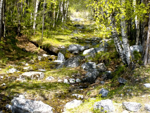 Дикий ручей среди камней — стоковое фото