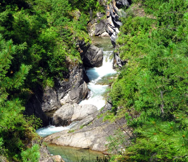 Mountain stream in wood — Stock Photo, Image