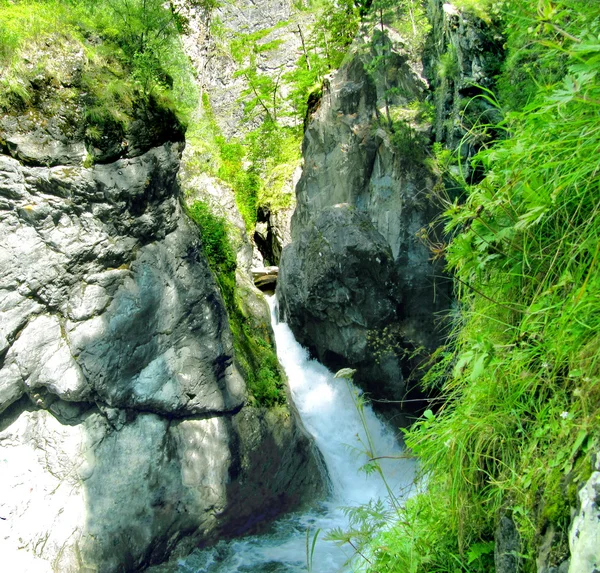 Şelale