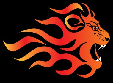 Infuriated lion in fire on black