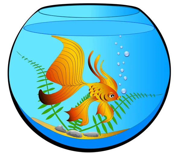 Аквариум с золотой рыбой и водорослями — стоковый вектор