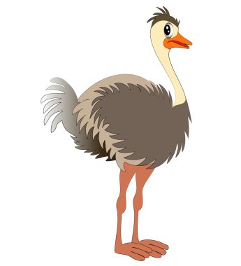 Nice young ostrich clipart