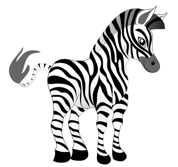 Fazendo parecer mais jovem agradável zebra —  Vetores de Stock