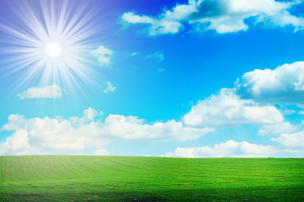 Groen gras en blauwe lucht . — Stockfoto