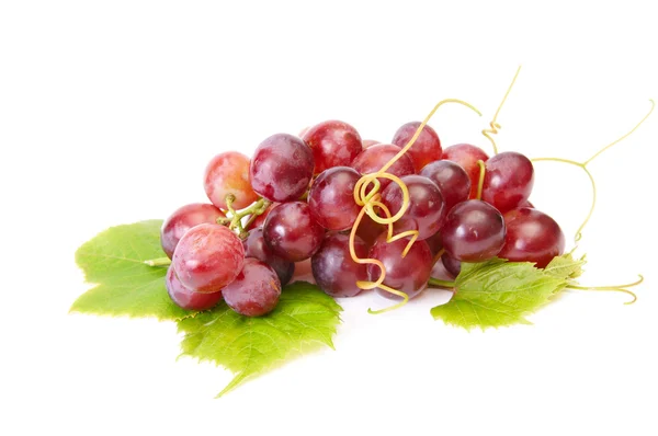 Вкусный, спелый виноград на белом . — стоковое фото