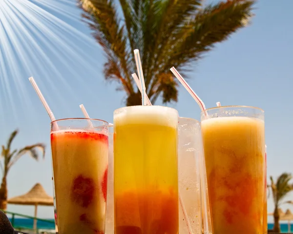 Fresh cocktails opposite big palm. — Stock Photo, Image