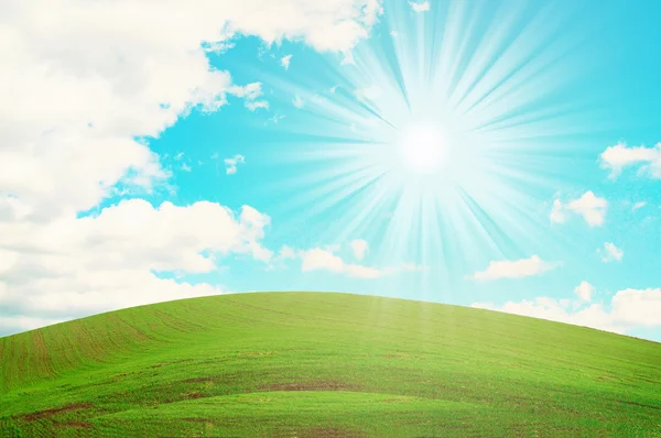 Wspaniałe zielone pola i słońce niebieski niebo. — Zdjęcie stockowe