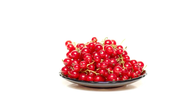 Tasty and juicy currants in brown saucer. — Stock Photo, Image
