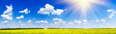 Fine panorama of rapefield and cloudscape. clipart