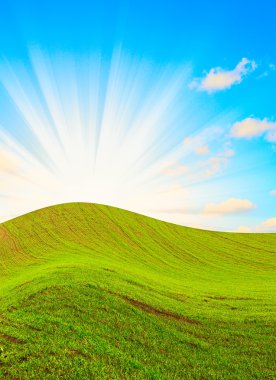 yazın güneşli manzara.