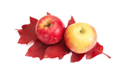 Autumnal fruits on a white. clipart