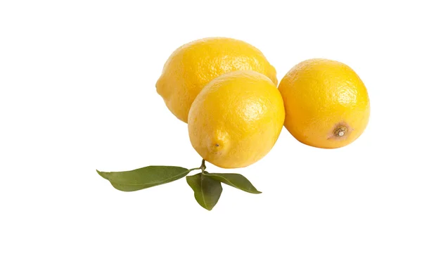 Tre citroner på en vit. — Stockfoto