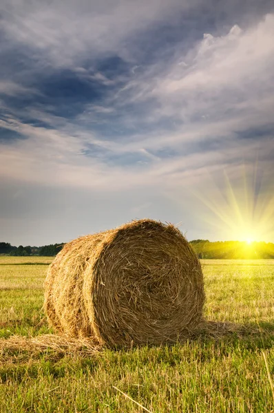 Rural landscape of haystacks. — Stock Photo, Image