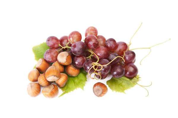 Rijp hazelnoten en druivenmost op een wit. — Stockfoto