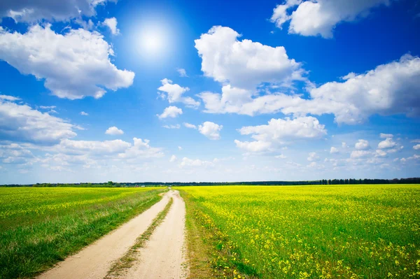 Удивительное желтое поле рапса и голубое небо с облаками. — стоковое фото