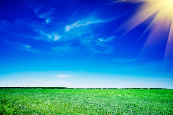 Herrliches grünes Feld und blauer Himmel mit Wolken. — Stockfoto