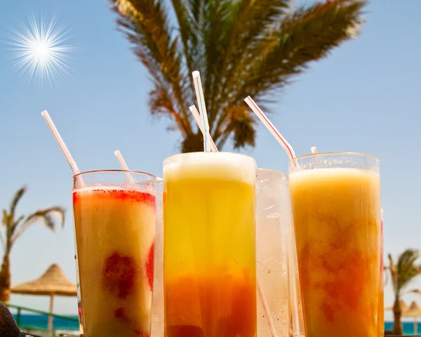 Chilly cocktails with small pipes and tall palm behind its. — Stock Photo, Image