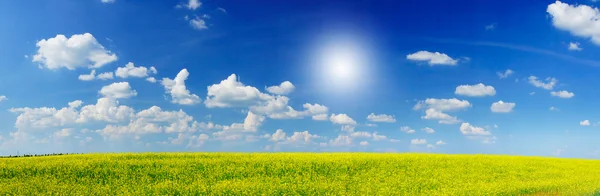 チャーム rapefield と太陽光線と cloudscape. — ストック写真