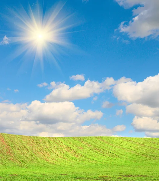 Prachtige groene veld en leuke zon. — Stockfoto