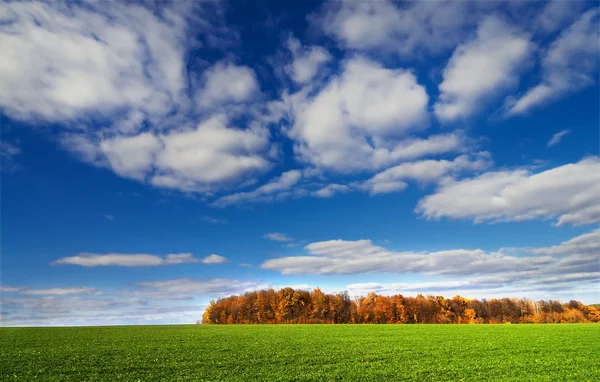 Platteland door latere herfst. — Stockfoto