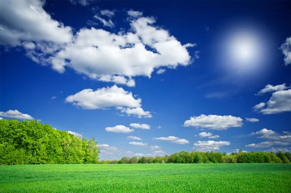 Υπέροχο πράσινο φόντο και το γαλάζιο του ουρανού με τα σύννεφα. — Φωτογραφία Αρχείου