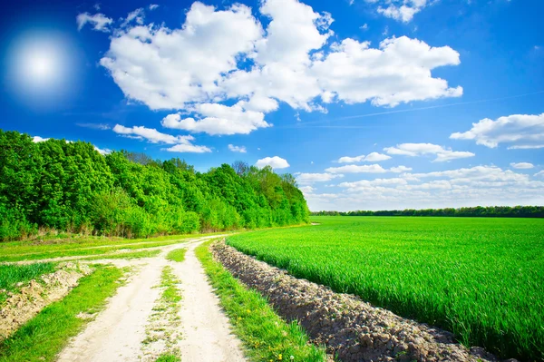 Csodálatos gomolyfelhők, és tavasszal a mező. — 스톡 사진