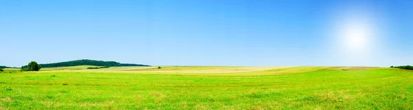 Прекрасна літня панорама поля . — стокове фото