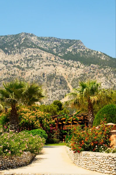 Góry i piękny ogród na terenie ośrodka. — Zdjęcie stockowe